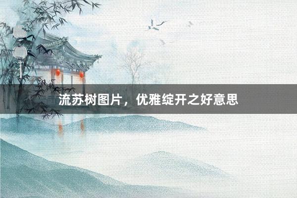 流苏树图片，优雅绽开之好意思