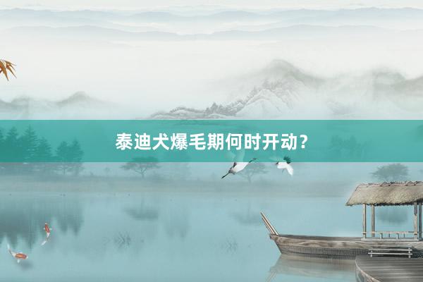 泰迪犬爆毛期何时开动？
