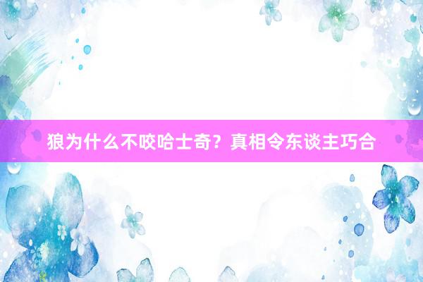 狼为什么不咬哈士奇？真相令东谈主巧合